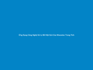 Ứng Dụng Công Nghệ Xử Lý Bề Mặt SLA Của Warantec Trong Tích Hợp Xương Nhanh